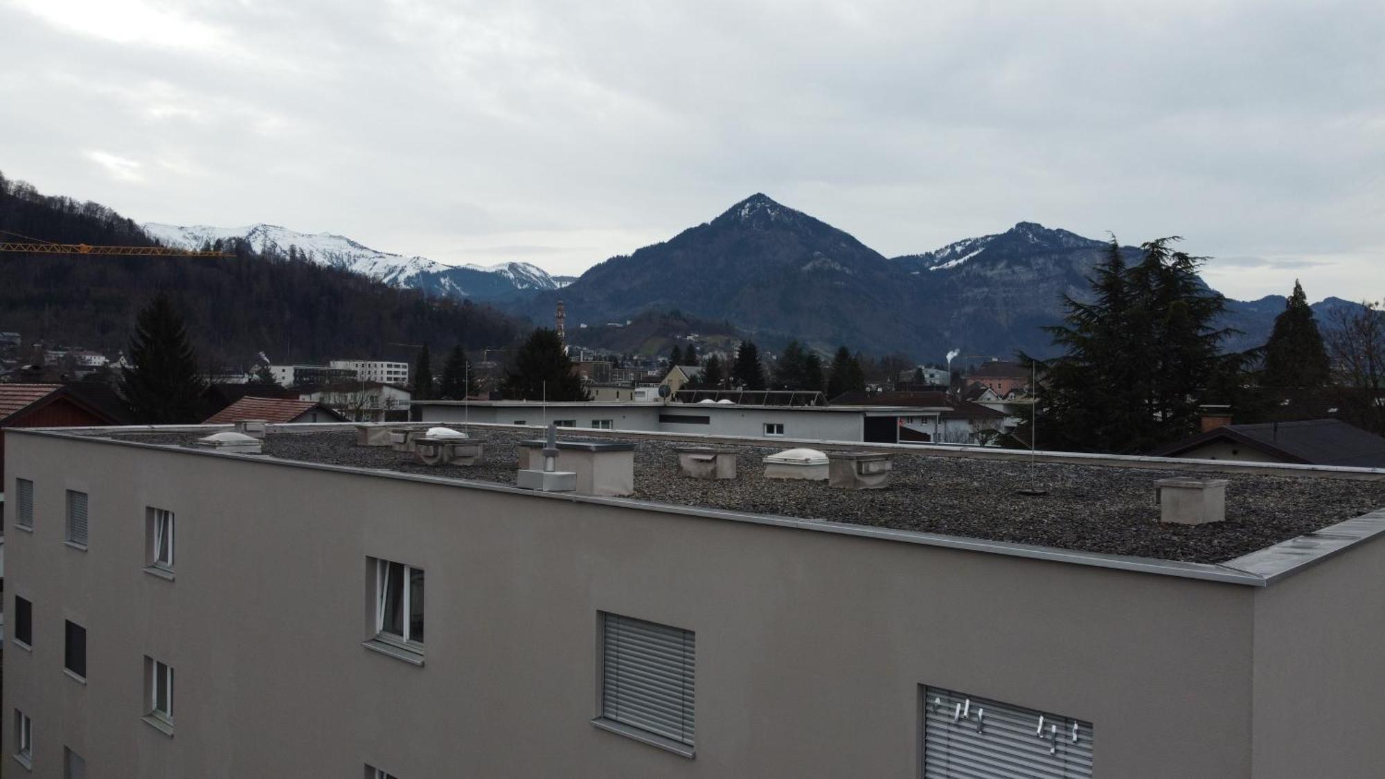 Budget Studio - 2 Einzelbetten - Parkplatz Dornbirn Dış mekan fotoğraf